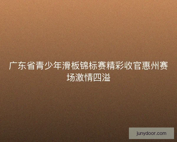 广东省青少年滑板锦标赛精彩收官惠州赛场激情四溢
